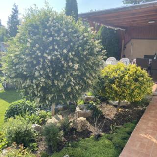 Balatonfüred-Péter Apartman, 1 apartman 10 férőhely