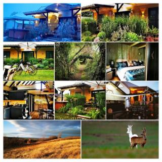 Maya Sun Garden Vendégház, 2 szoba 4 férőhely