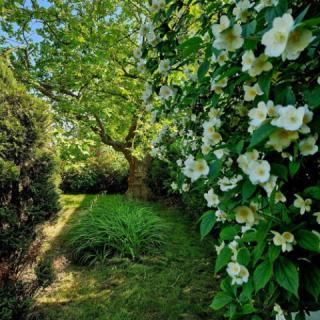 Fonyódligeti Napocskás Ház, 2 szoba 3 férőhely