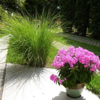 Zsuzsa Apartman, 3 apartman 6 férőhely