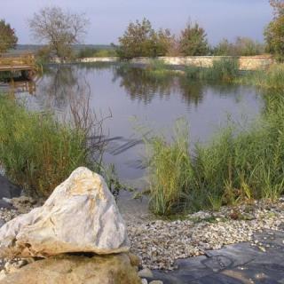 Bakony Panzió, 18 szoba 70 férőhely