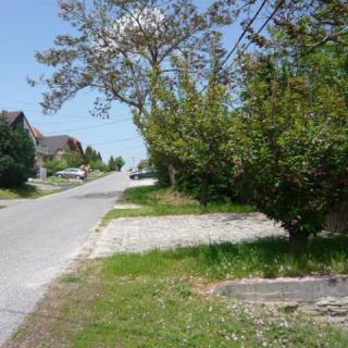 Andrea Apartman, 1 apartman 6 férőhely