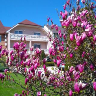 Klára Villa, 6 apartman 12 férőhely