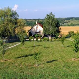 Szabo Pince, 2 szoba 4 férőhely