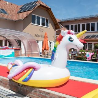 Pelso Panzió, 20 szoba 42 férőhely