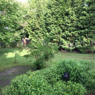 Pálma Panzió, 2 szoba 17 férőhely