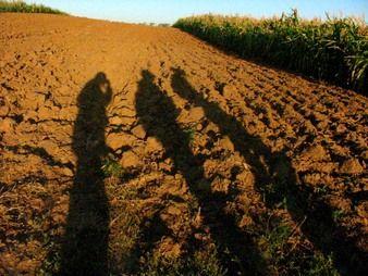 Fűzfa Vendégház, 1 szoba 4 férőhely