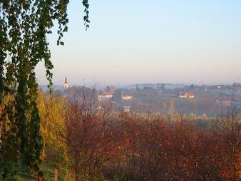 Fűzfa Vendégház, 1 szoba 4 férőhely