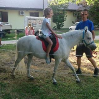 Balaton Eldorado Camping, 36 szoba 109 férőhely