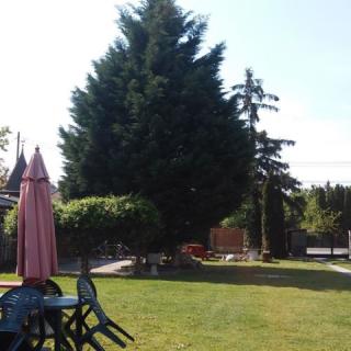 Villa Suzy, 4 szoba 12 férőhely