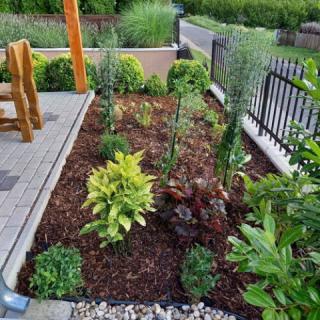 Laura Haus, 10 apartman 24 férőhely