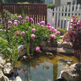 Kardos Apartman, 3 apartman 14 férőhely