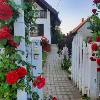 Kardos Apartman, 3 apartman 14 férőhely