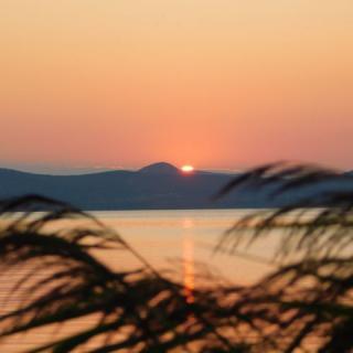 Csaba és Ricsi Ház, 2 faház 4 férőhely