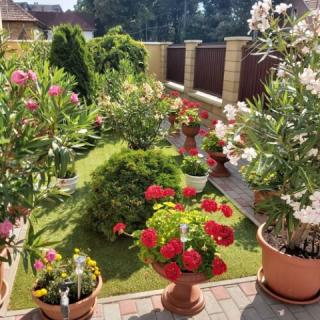 Matild Apartmanház, 6 apartman 16 férőhely