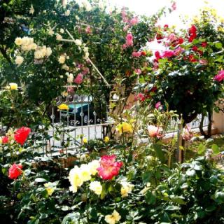 Pál Apartman, 3 apartman 6 férőhely