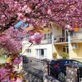Anett Villa, 8 apartman 24 férőhely