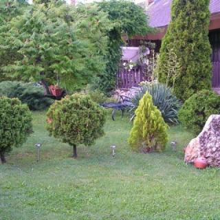 Örökzöld Apartmanok, 5 apartman 10 férőhely