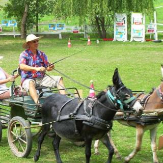Rózsika Néni Vendégház, 4 szoba 12 férőhely