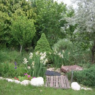 Csalintos Apartman, 1 apartman 4 férőhely