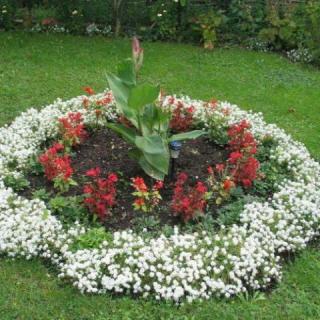 Bacchus Apartmanok, 3 apartman 8 férőhely