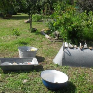 KLASSZapartman, 2 apartman 11 férőhely