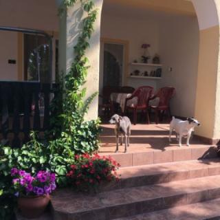 Tieff Apartmann, 6 apartman 18 férőhely