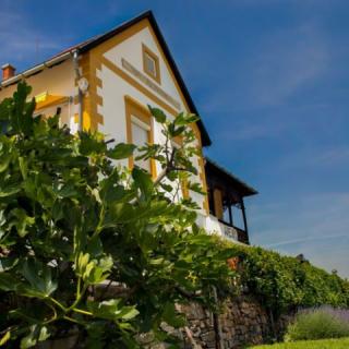 Bacchus Apartman Borbarlang Vinotéka, 5 apartman 16 férőhely