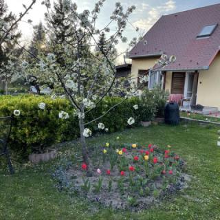 Leander Vendégház, 2 szoba 6 férőhely