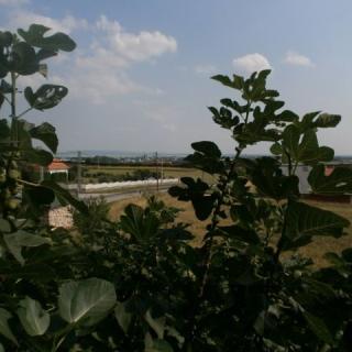 Fehér Rózsa Apartman, 3 apartman 10 férőhely