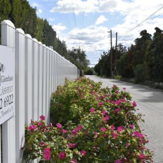 Andrea Vendégház, 2 apartman 8 férőhely