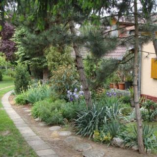 Lucy Lak, 2 apartman 4 férőhely