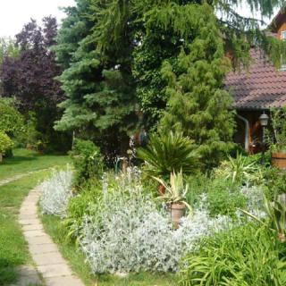 Lucy Lak, 2 apartman 4 férőhely