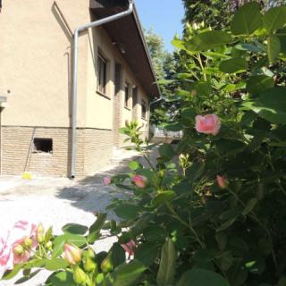 Roselio Garden Apartman, 7 apartman 8 férőhely