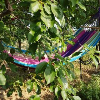 Ginavilla, 5 apartman 10 férőhely