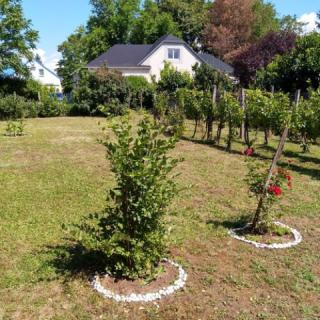 Béke Szigete a Balatonnál, 1 apartman 8 férőhely