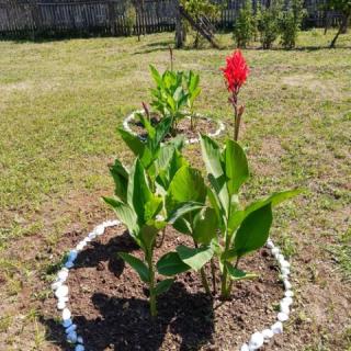 Béke Szigete a Balatonnál, 1 apartman 8 férőhely