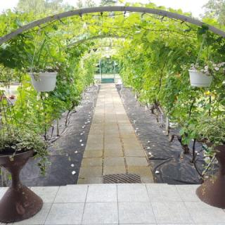 Villa Negra Retro Panzió, 8 szoba 16 férőhely