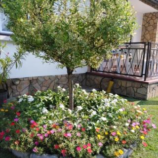 Aranka Ház, 1 apartman 8 férőhely