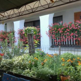 Elisabeth Apartman, 3 apartman 8 férőhely