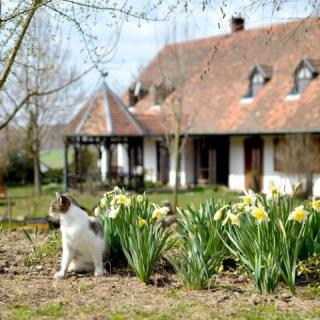 LillaLulla Vendégház, 5 szoba 10 férőhely
