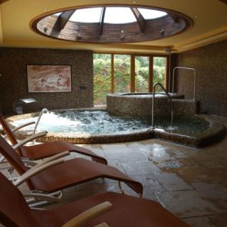 Laroba Wellness Hotel, 31 szoba 70 férőhely