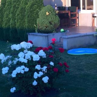 Apartman Azurea, 1 apartman 4 férőhely