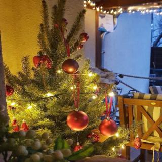 Dóra Holiday House, 2 apartman 8 férőhely