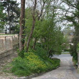 Fehér Ló Villa, 3 apartman 12 férőhely