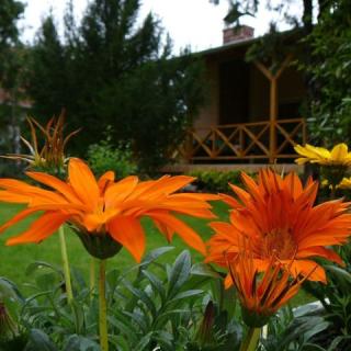 Töreki Plusz Apartman, 1 apartman 4 férőhely