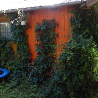 Takaró a Tekerőnek Kerékpáros Apartman, 1 apartman 3 férőhely