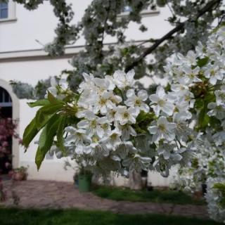 Evangélikus Szállás és Táborhely, 3 szoba 30 férőhely