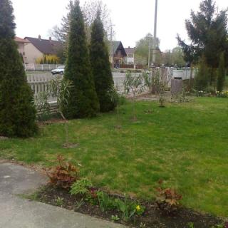 Fenyő Apartman, 1 apartman 6 férőhely