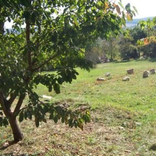 Cottage by the Woods, 1 szoba 4 férőhely